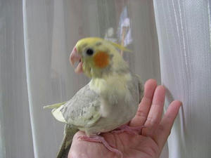 DSCN7386.JPG