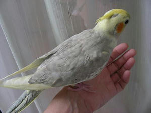 DSCN7388.JPG