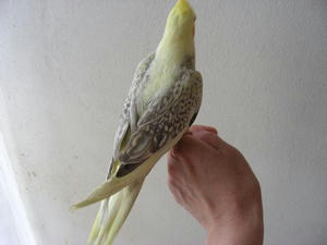 DSCN6574.JPG
