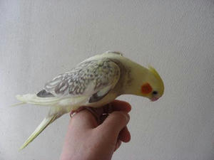 DSCN6576.JPG