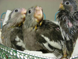 DSCN7402.JPG