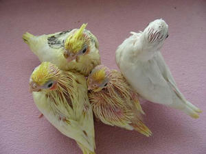 DSCN7655.JPG