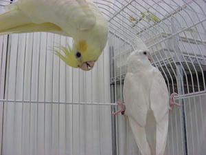 DSCN7691.JPG