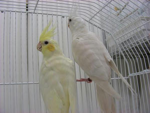 DSCN7688.JPG