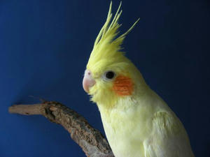 DSCN7886.JPG
