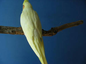 DSCN7888.JPG