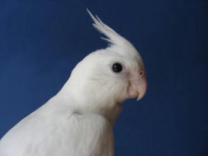 DSCN7890.JPG