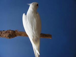 DSCN7895.JPG
