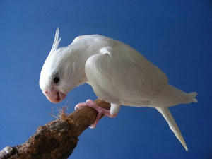 DSCN7897.JPG