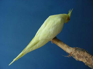 DSCN7905.JPG