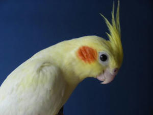 DSCN7908.JPG