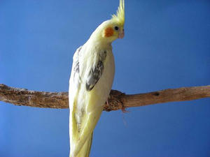 DSCN7917.JPG