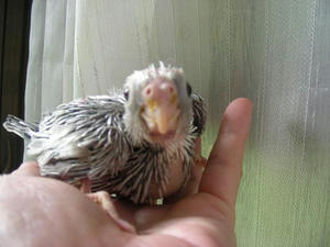 DSCN8068.JPG