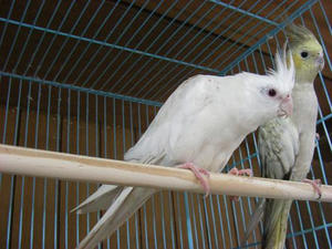 DSCN8326.JPG