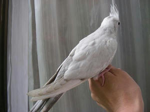 DSCN8466.JPG