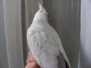 DSCN8469.JPG