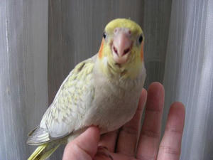 DSCN8464.JPG