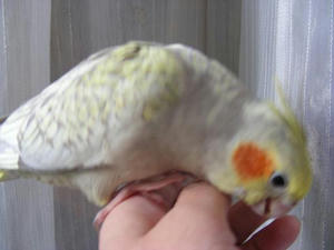 DSCN8465.JPG