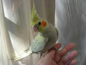 DSCN8520.JPG