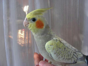 DSCN8527.JPG