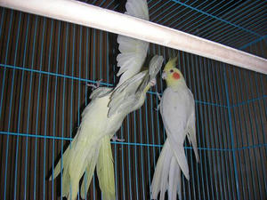 DSCN8345.JPG