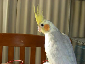 DSCN8559.JPG