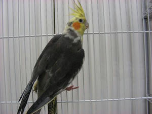 DSCN8294.JPG