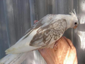 DSCN8635.JPG