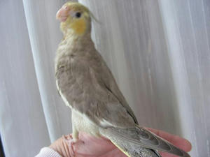 DSCN8863.JPG