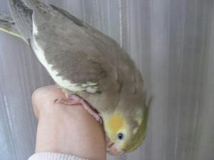 DSCN8866.JPG