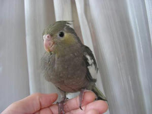 DSCN8858.JPG