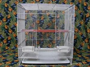 DSCN9620.JPG