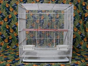 DSCN9621.JPG