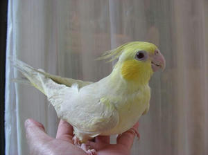 DSCN9778.JPG