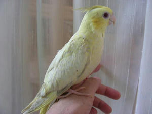 DSCN9787.JPG