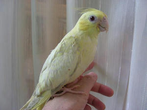 DSCN9788.JPG