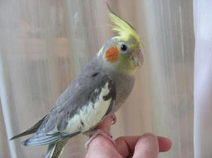DSCN9790.JPG