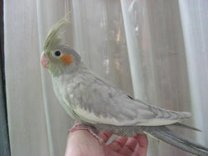 DSCN9944.JPG