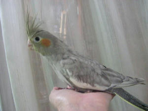 DSCN9949.JPG