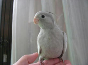 DSCN9922.JPG