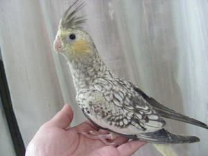 DSCN9953.JPG