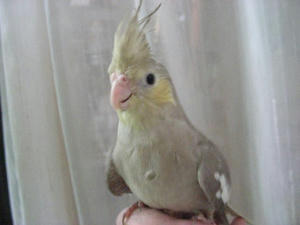 DSCN9958.JPG