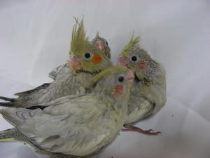 DSCN0174.JPG