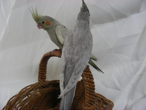DSCN0167.JPG