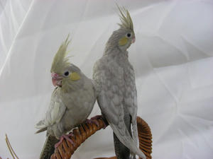 DSCN0152.JPG