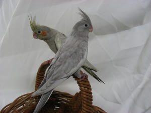 DSCN0168.JPG