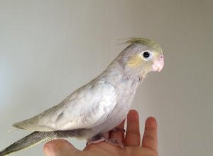 7d80d1a8.JPG