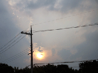 e81877b4gif