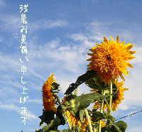 c983bb22.gif