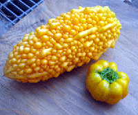 078a537b.gif
